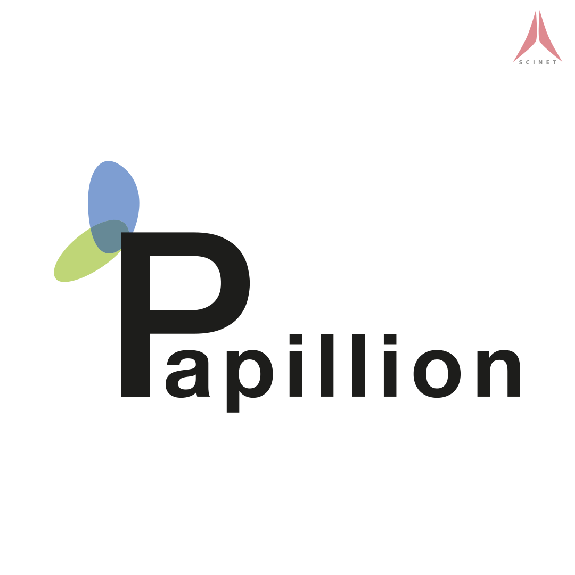 Logo-Design für Papillion – gestaltet von scinet studio Augsburg